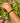 Bracelet Nils - Agate Rouge Et Noire