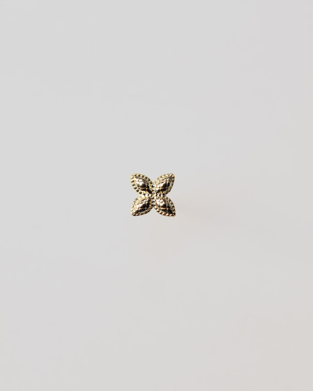 Piercing Brunello