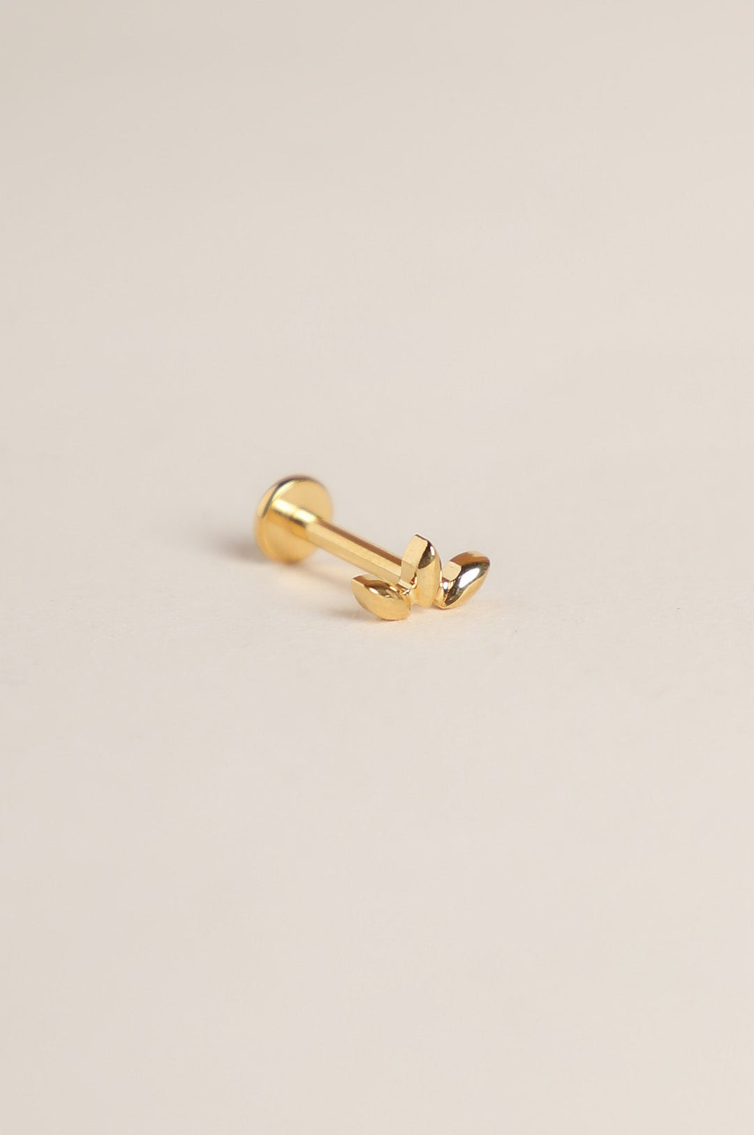 Piercing Nova