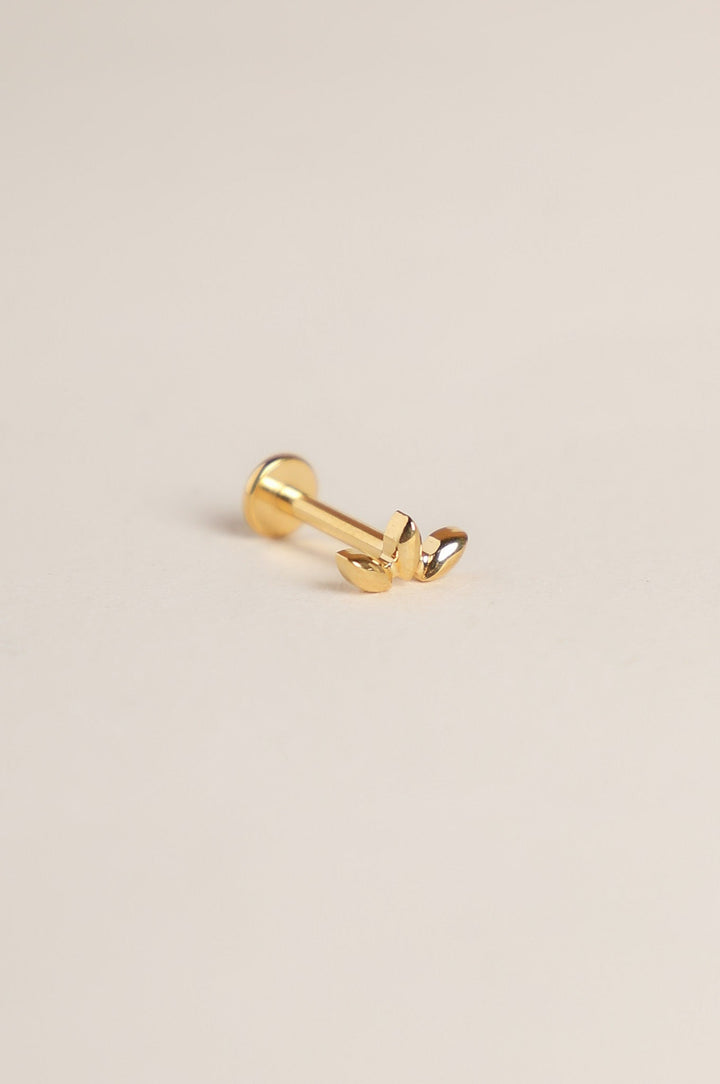Piercing Nova