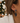 Boucles Zurich