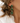 Boucles Barcelone