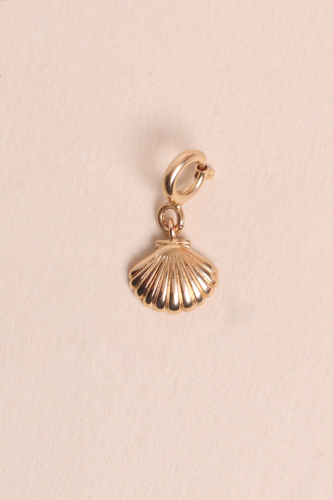 Charms Coquillage
