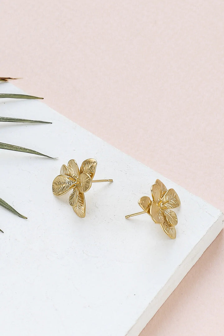 Puces Begonia Dorées