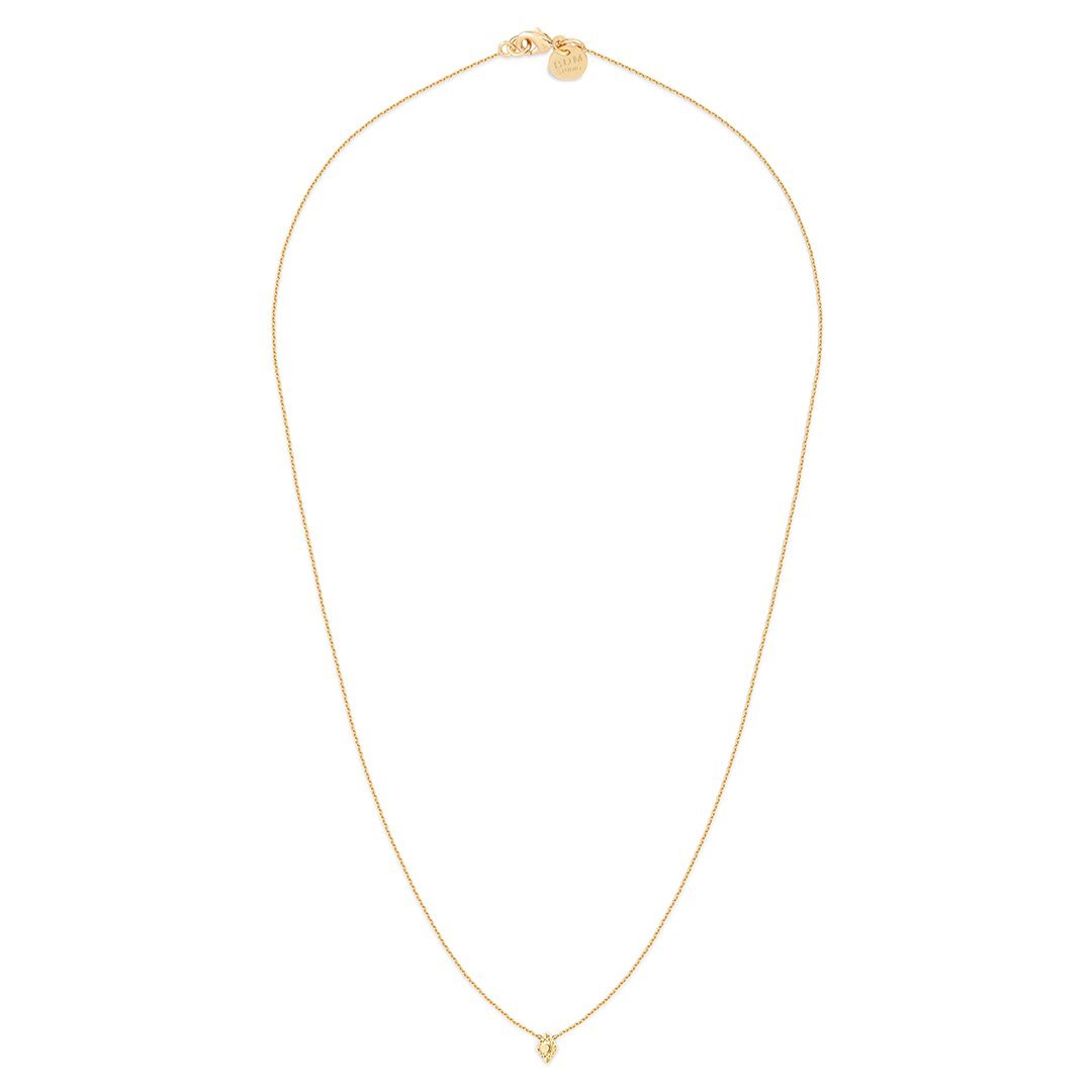 Collier Court Luz
