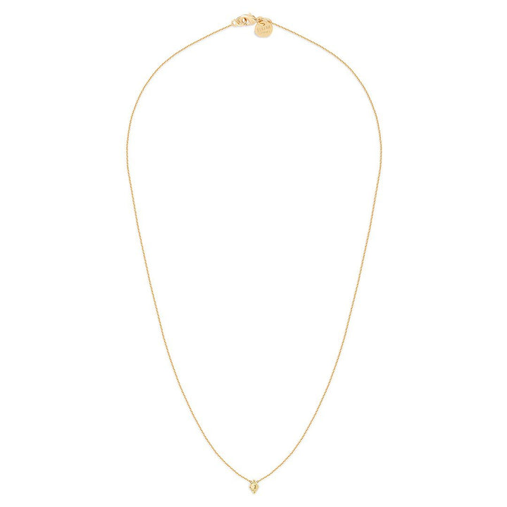 Collier Court Luz